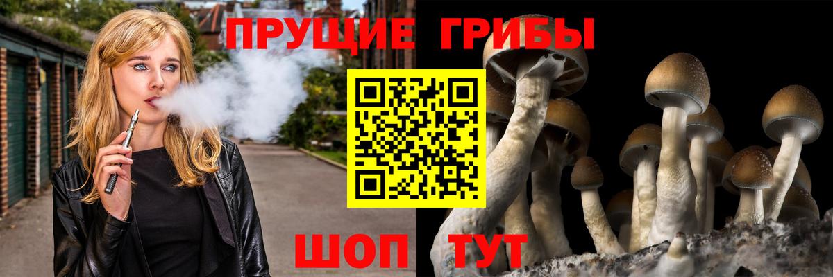 Назарово  Псилоцибиновые грибы мухоморы  Вход с VPN 