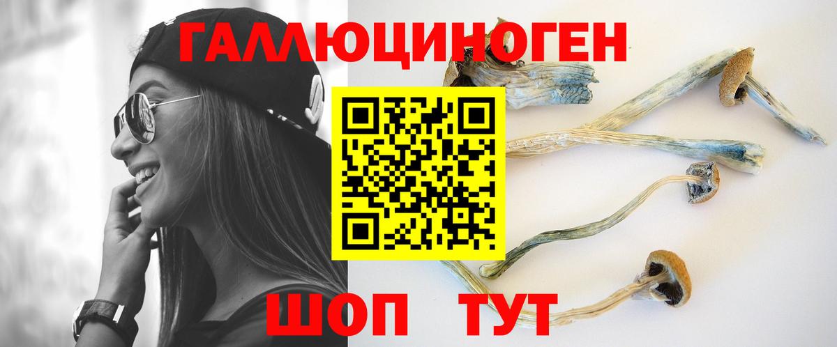 Псилоцибиновые грибы мицелий Назарово